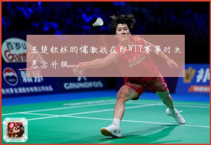 王楚钦林昀儒激战在即WTT赛事对决悬念升级